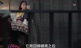 三姐姐爆料视频大全最新,揭秘娱乐圈不为人知的幕后故事